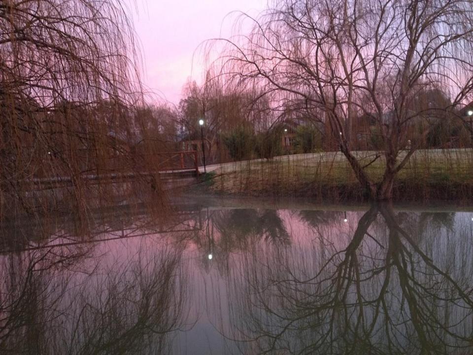 Готель Perricoota Vines Retreat Моама Екстер'єр фото