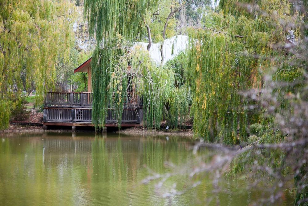 Готель Perricoota Vines Retreat Моама Номер фото