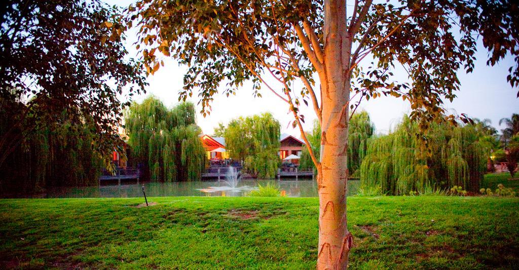 Готель Perricoota Vines Retreat Моама Екстер'єр фото