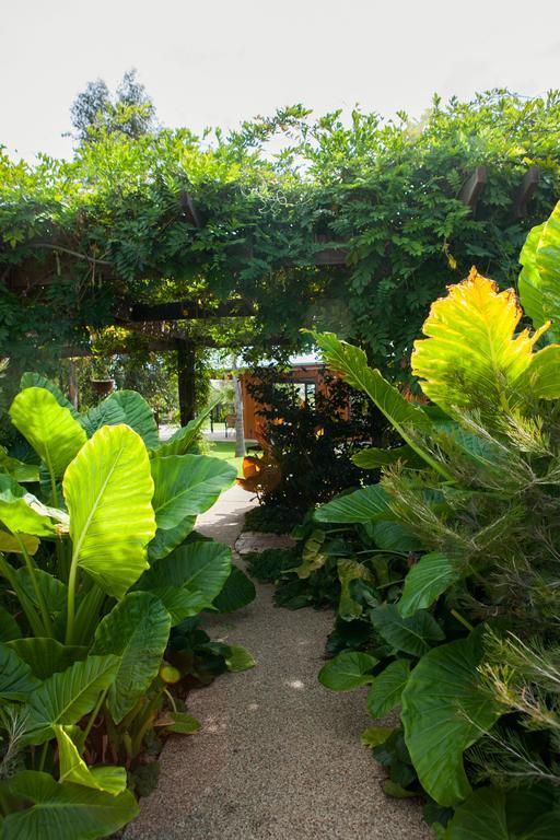 Готель Perricoota Vines Retreat Моама Екстер'єр фото