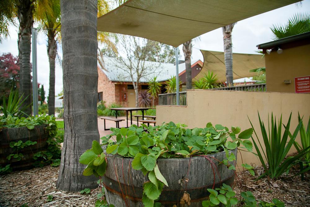 Готель Perricoota Vines Retreat Моама Екстер'єр фото