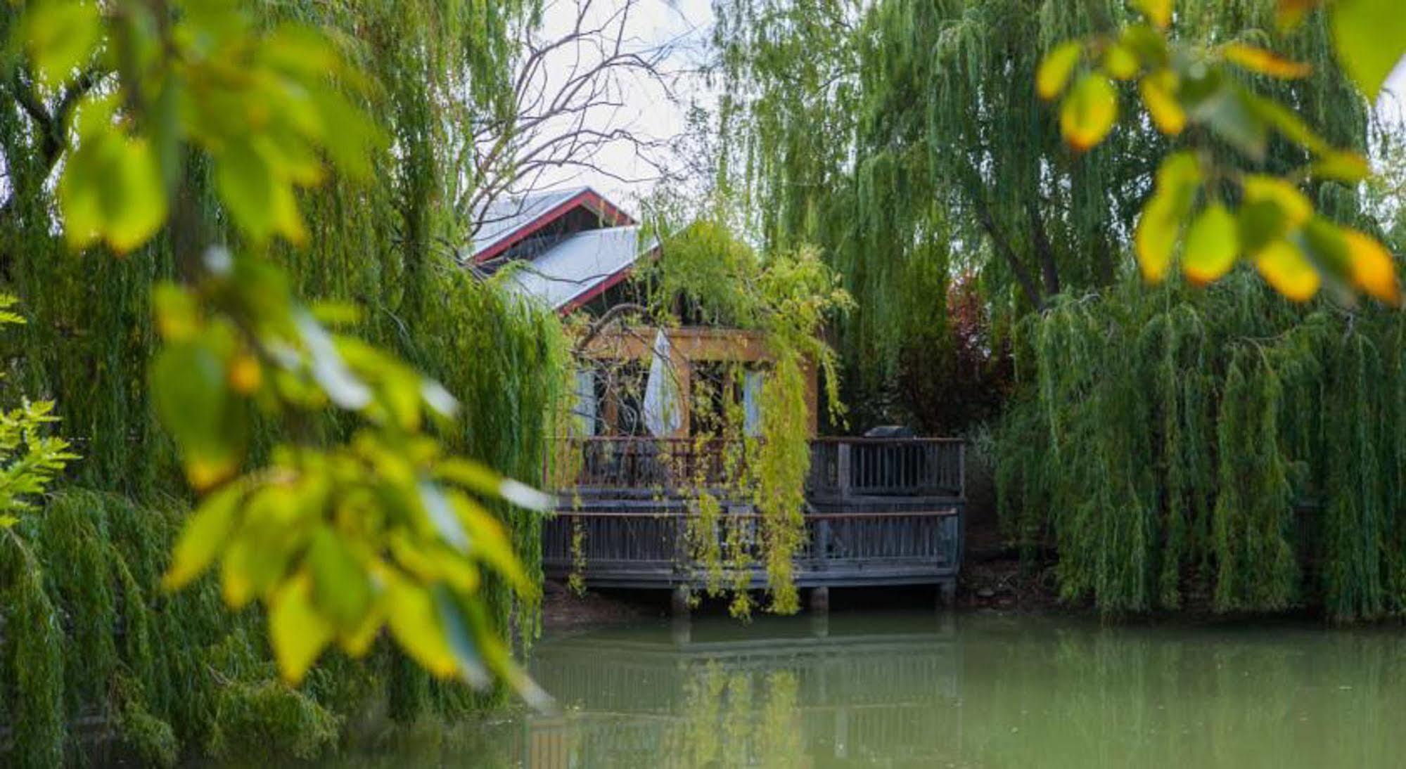 Готель Perricoota Vines Retreat Моама Екстер'єр фото