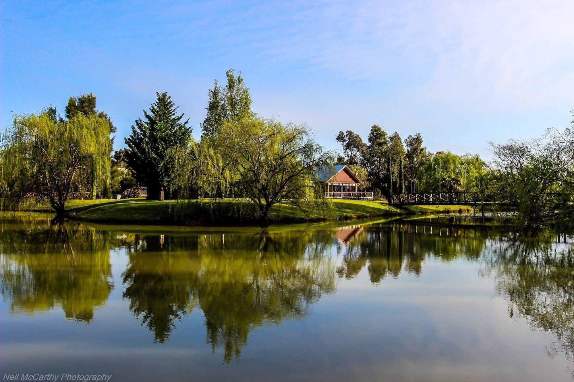 Готель Perricoota Vines Retreat Моама Екстер'єр фото